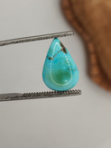 نگین فیروزه نیشابور مغز دار، کد F036