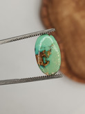 نگین فیروزه نیشابور ، کد F037