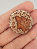 نگین جاسپر پلنگی، طبیعی و معدنی،کد N187