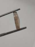 نگین عقیق شجر فردوس، طبیعی و معدنی، کدN۲۰۷