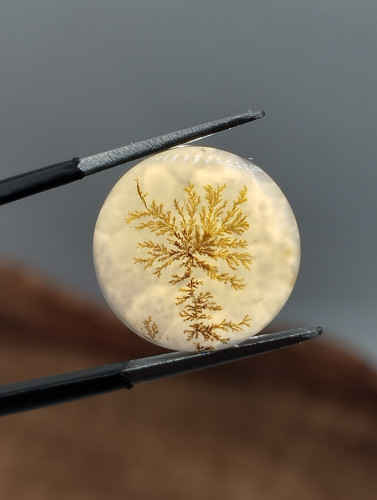 نگین عقیق شجر قائن، تراش دست، کدN۲۵۹